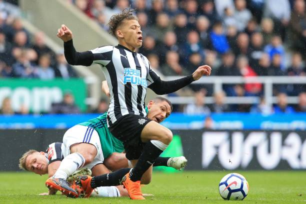 現出了他們 現出了他們